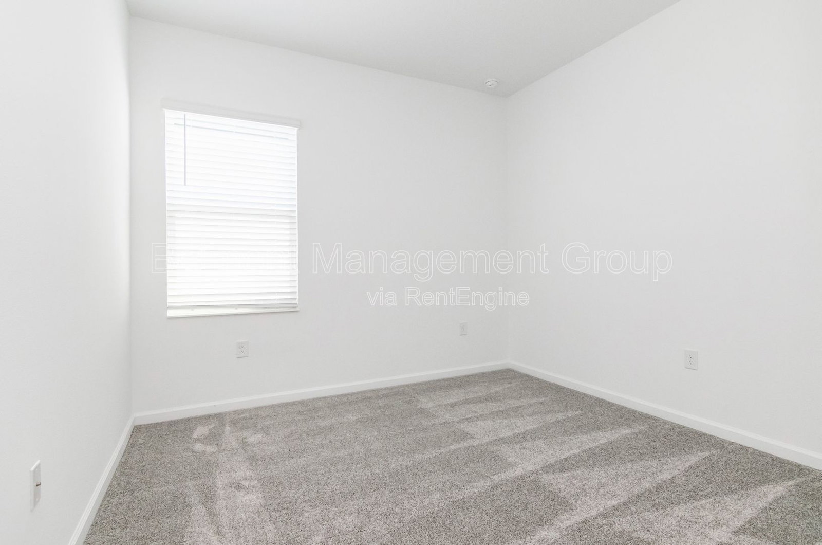 Gallery Image 20