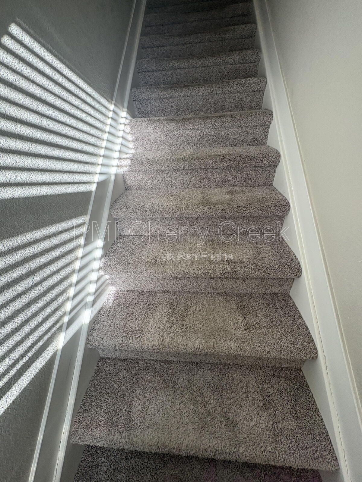 Gallery Image 36