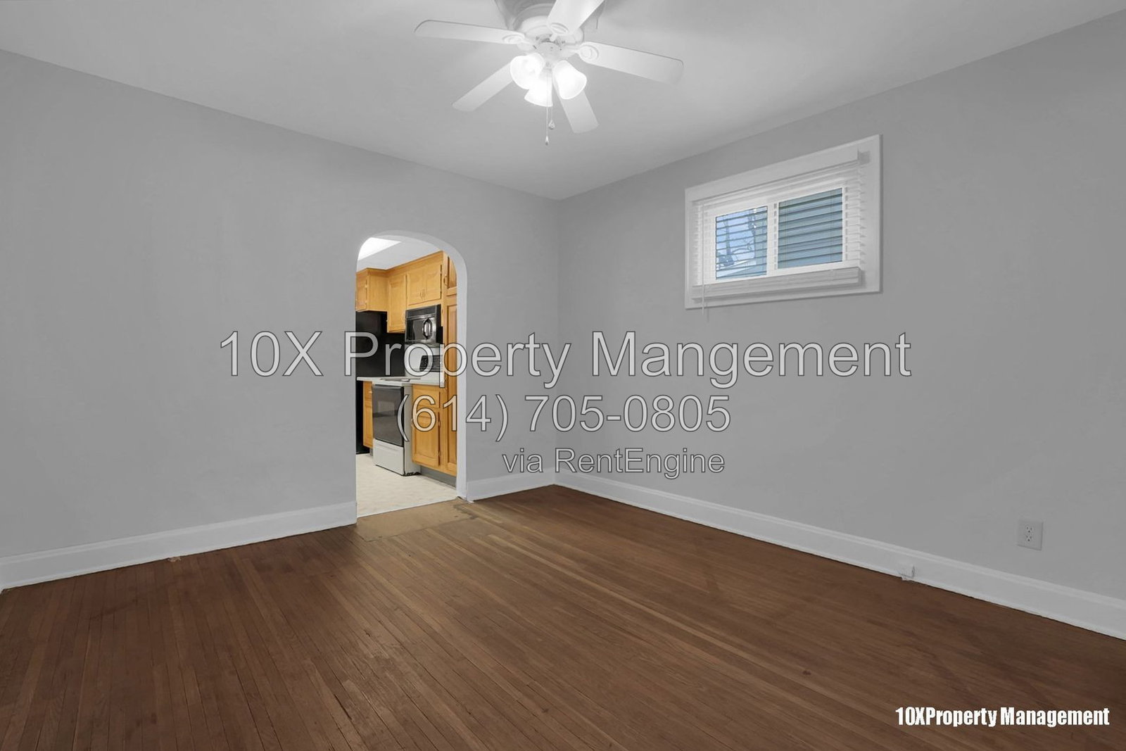 Gallery Image 7