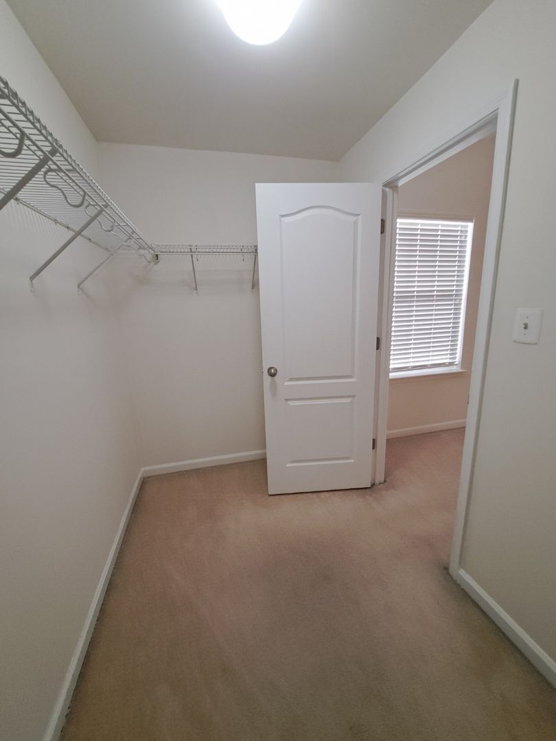 Gallery Image 41