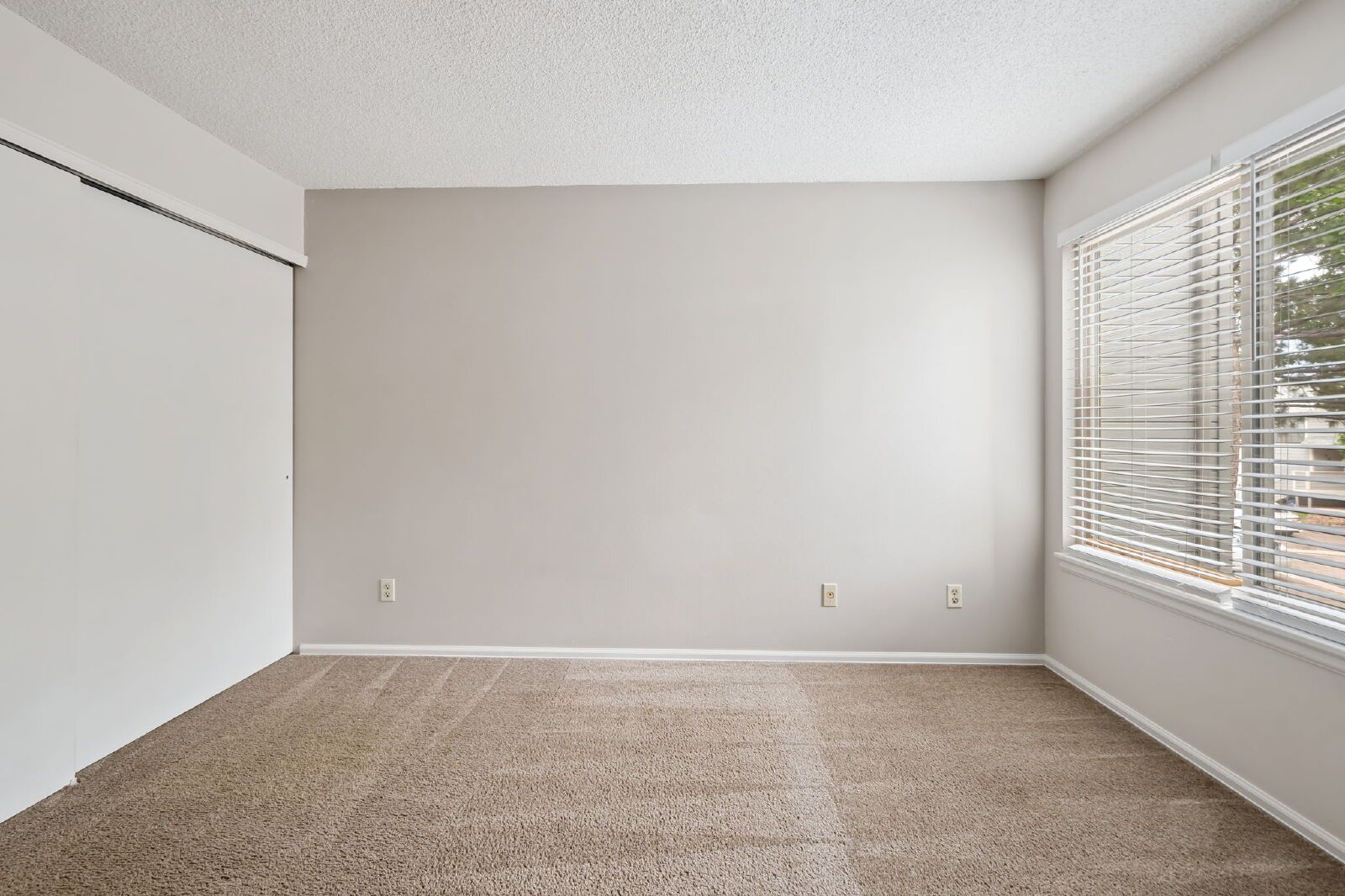 Gallery Image 19