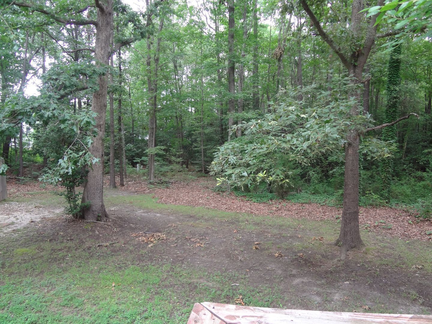 Gallery Image 15