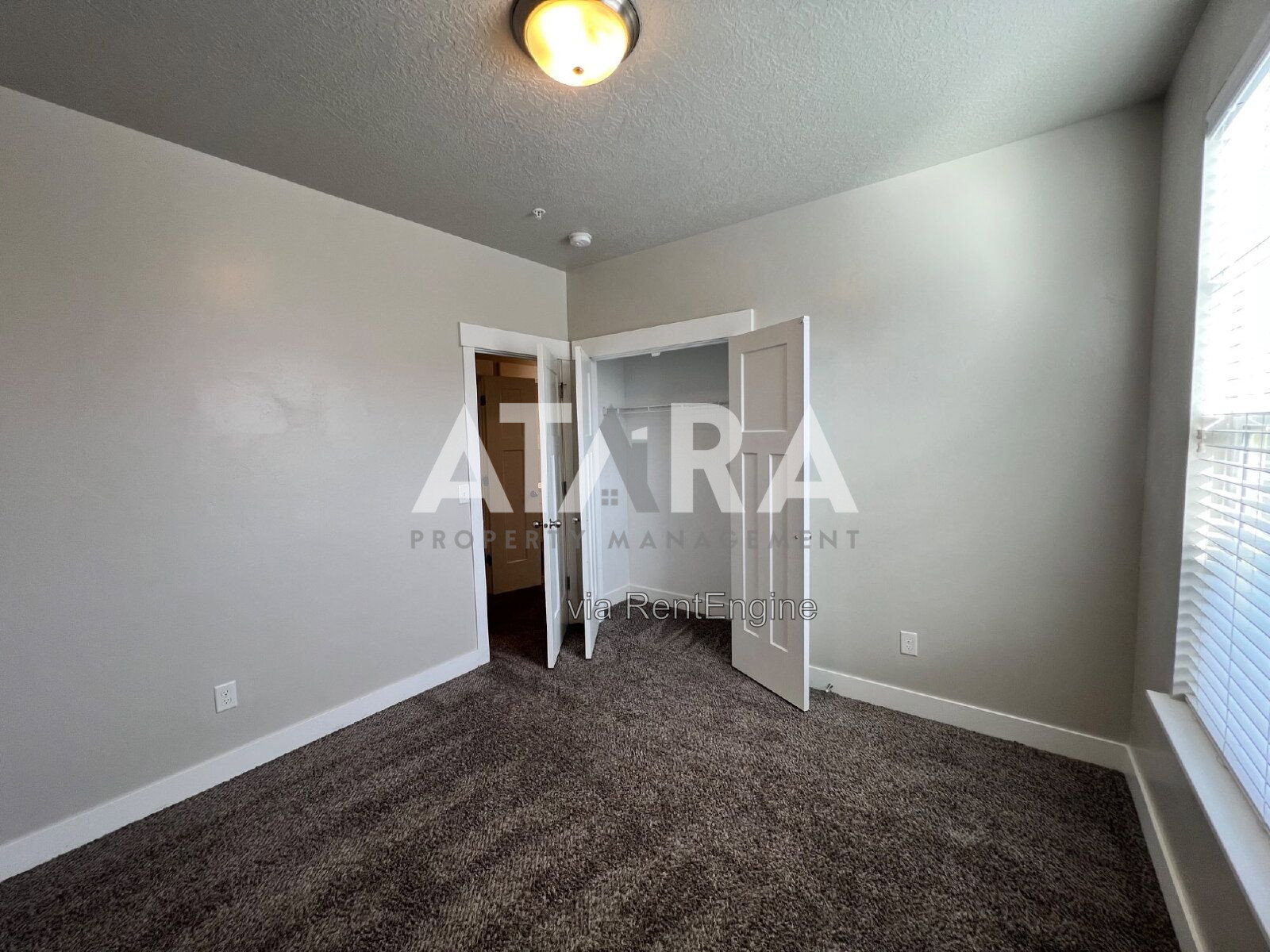 Gallery Image 20