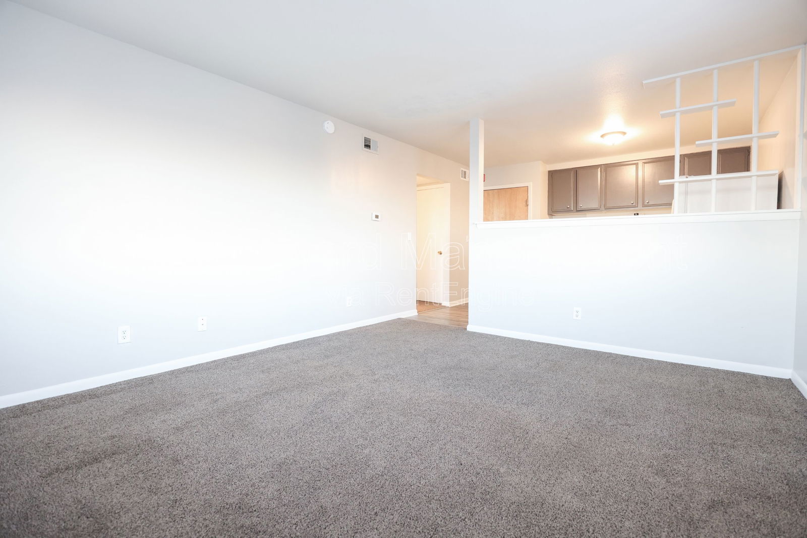 Gallery Image 0