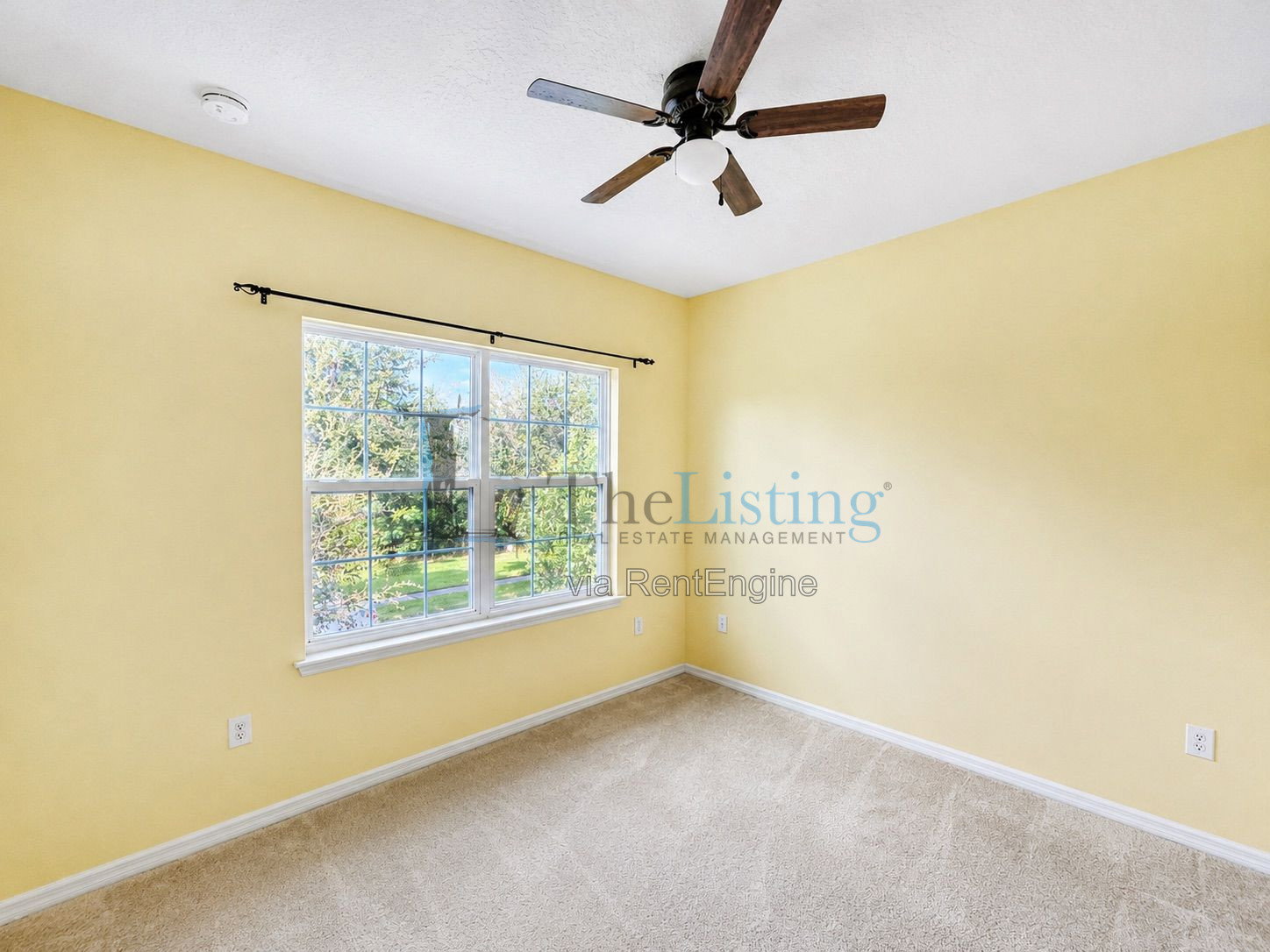 Gallery Image 20