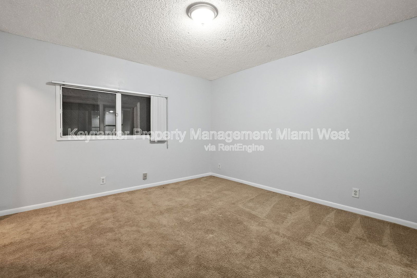 Gallery Image 19