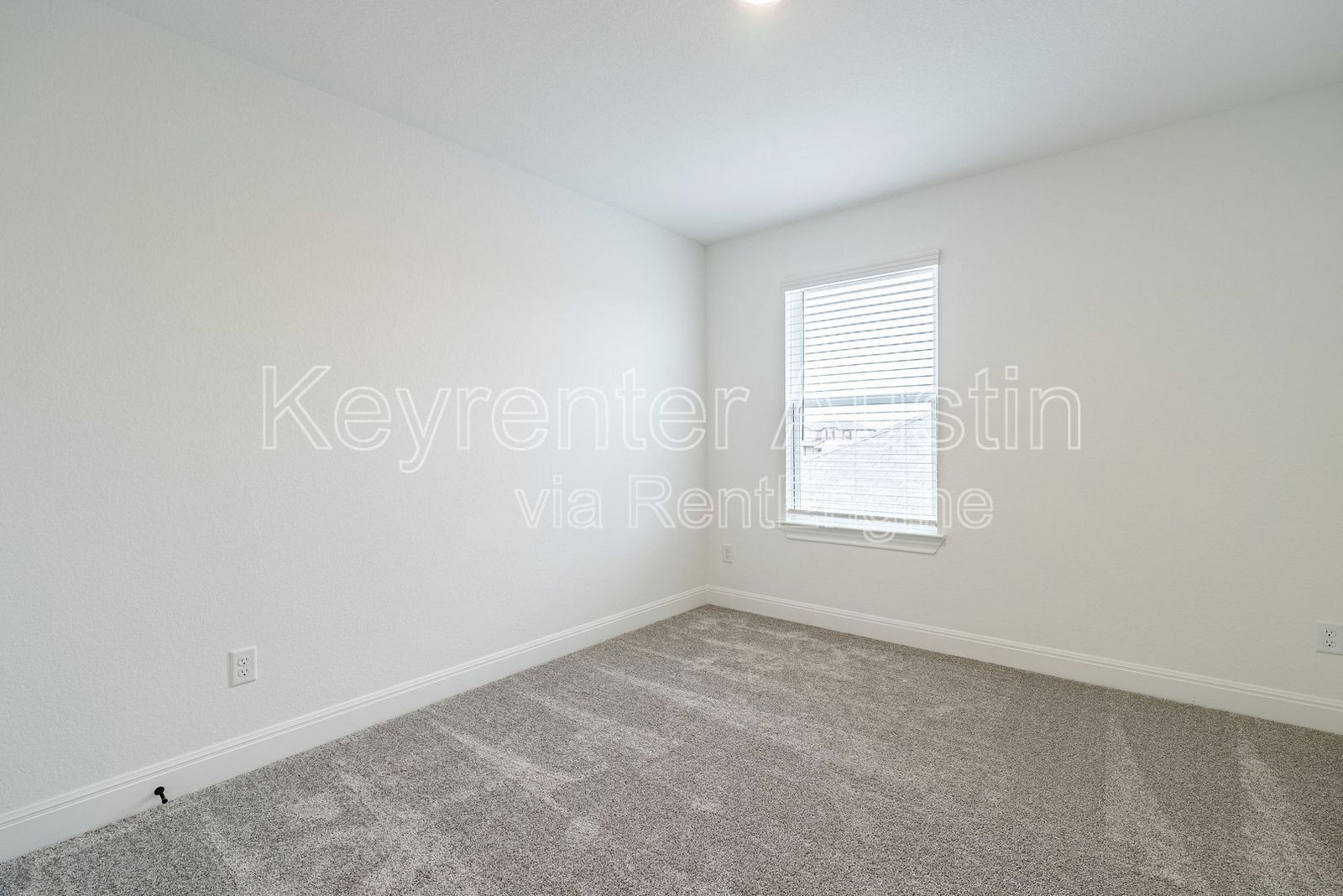 Gallery Image 21