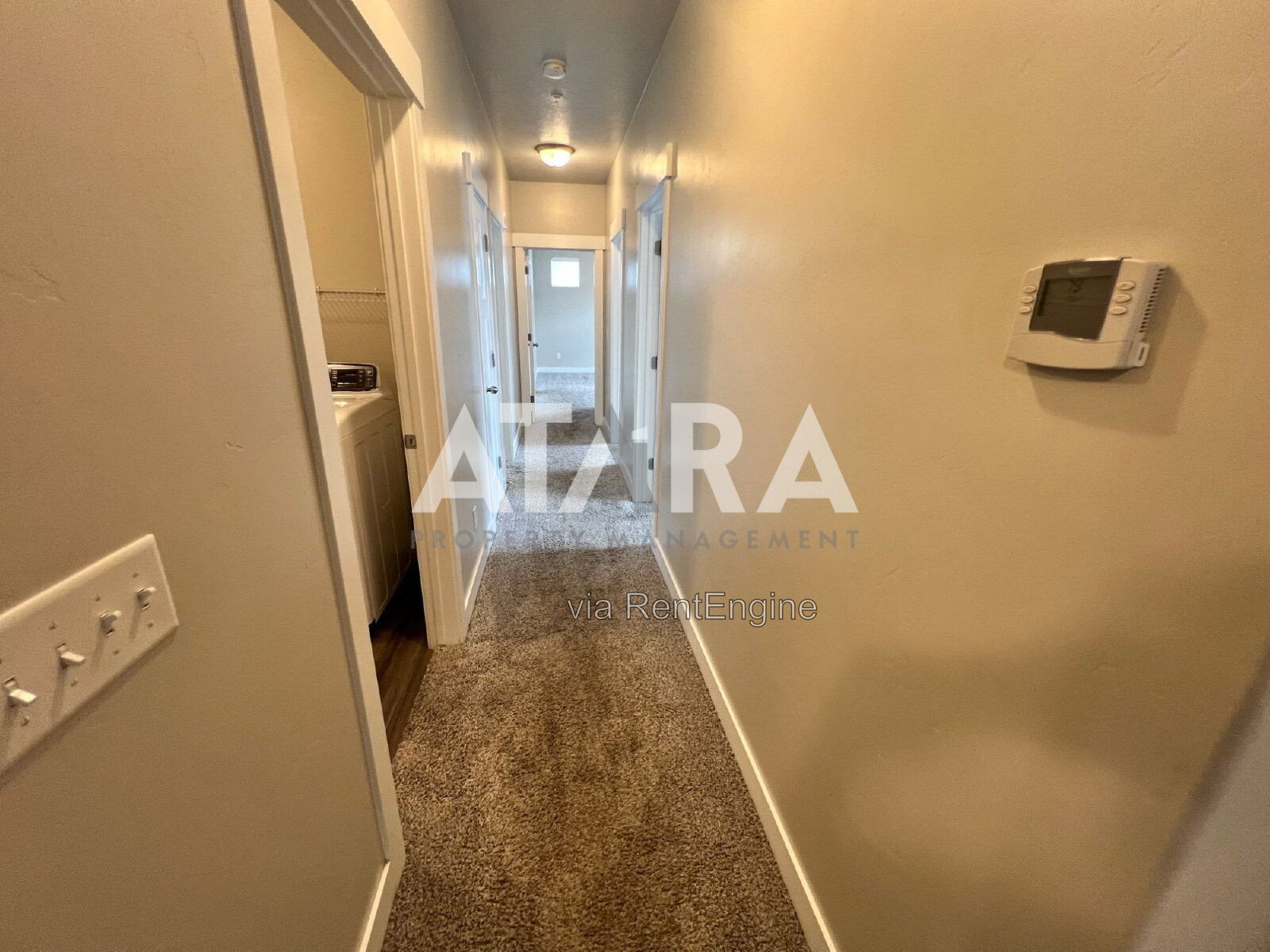 Gallery Image 18