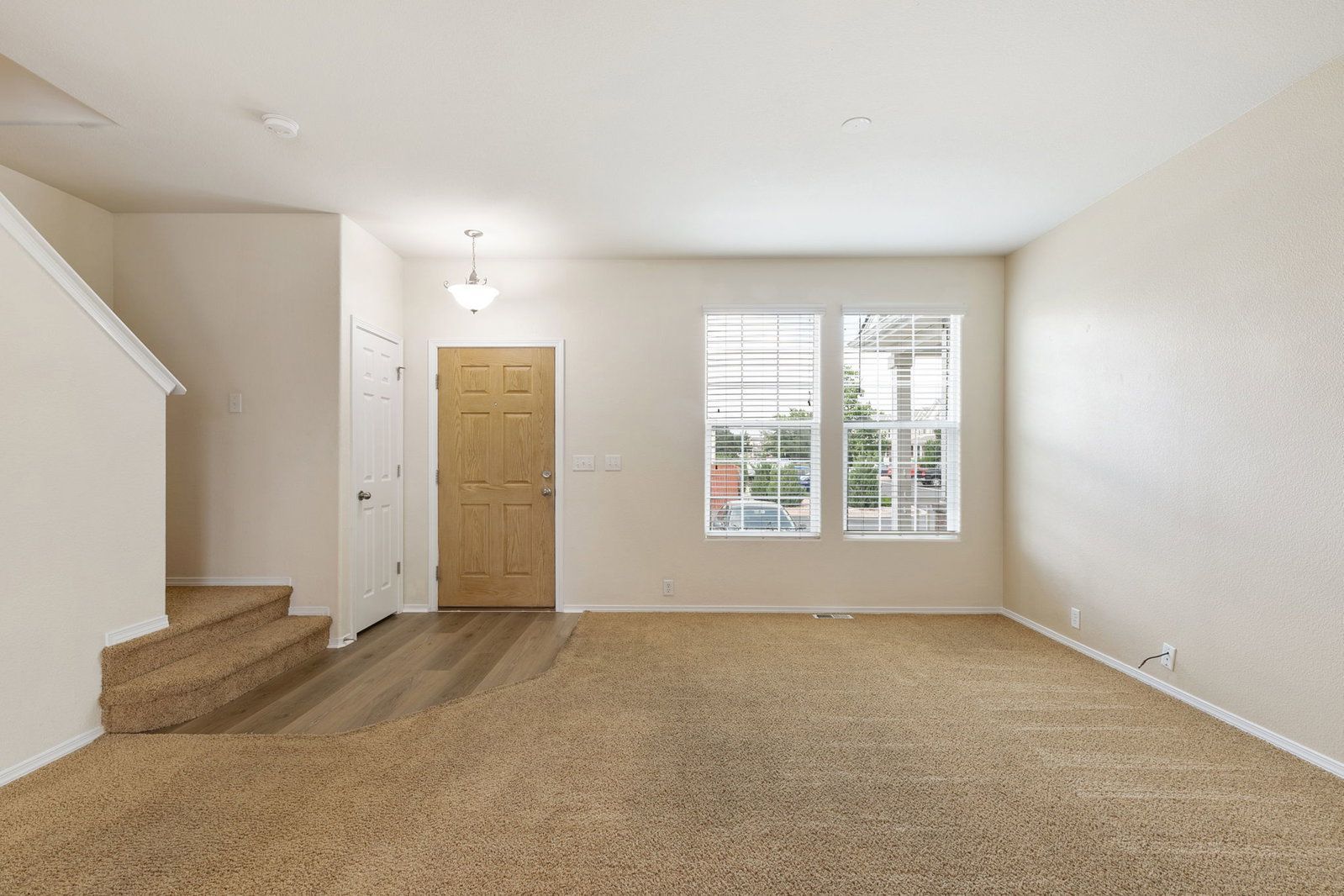Gallery Image 7