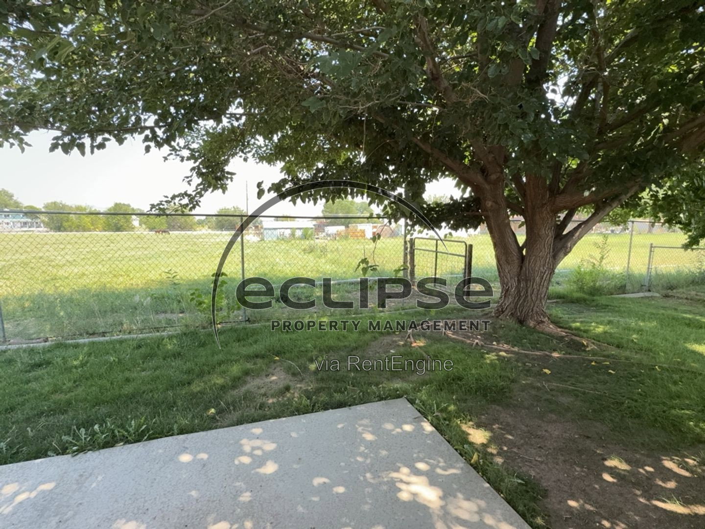 Gallery Image 37