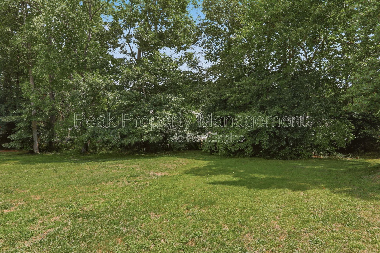 Gallery Image 20