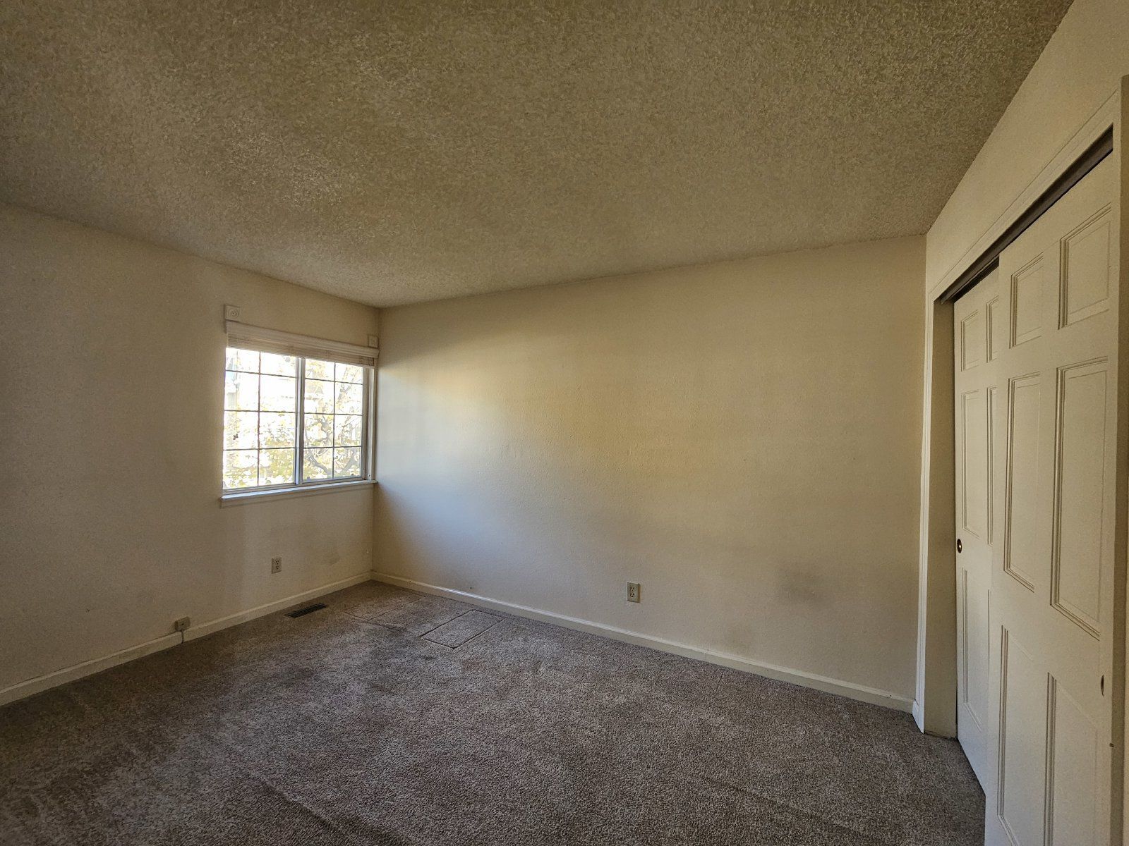 Gallery Image 19