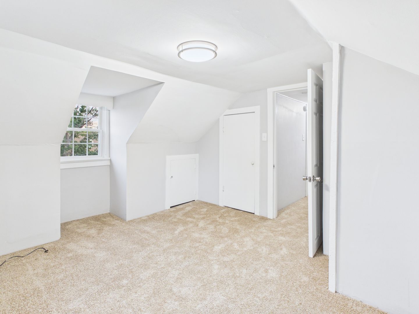 Gallery Image 20