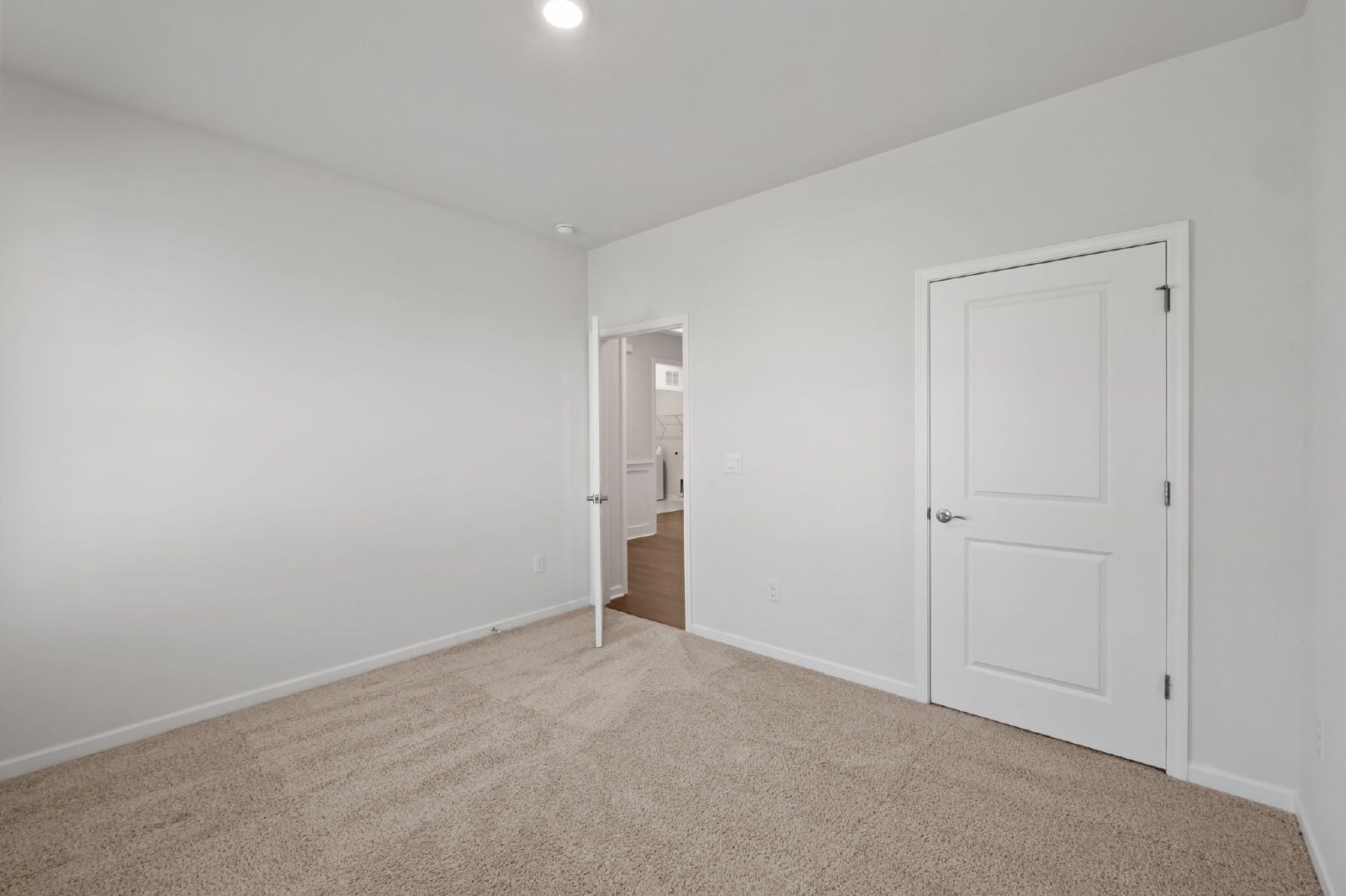 Gallery Image 19