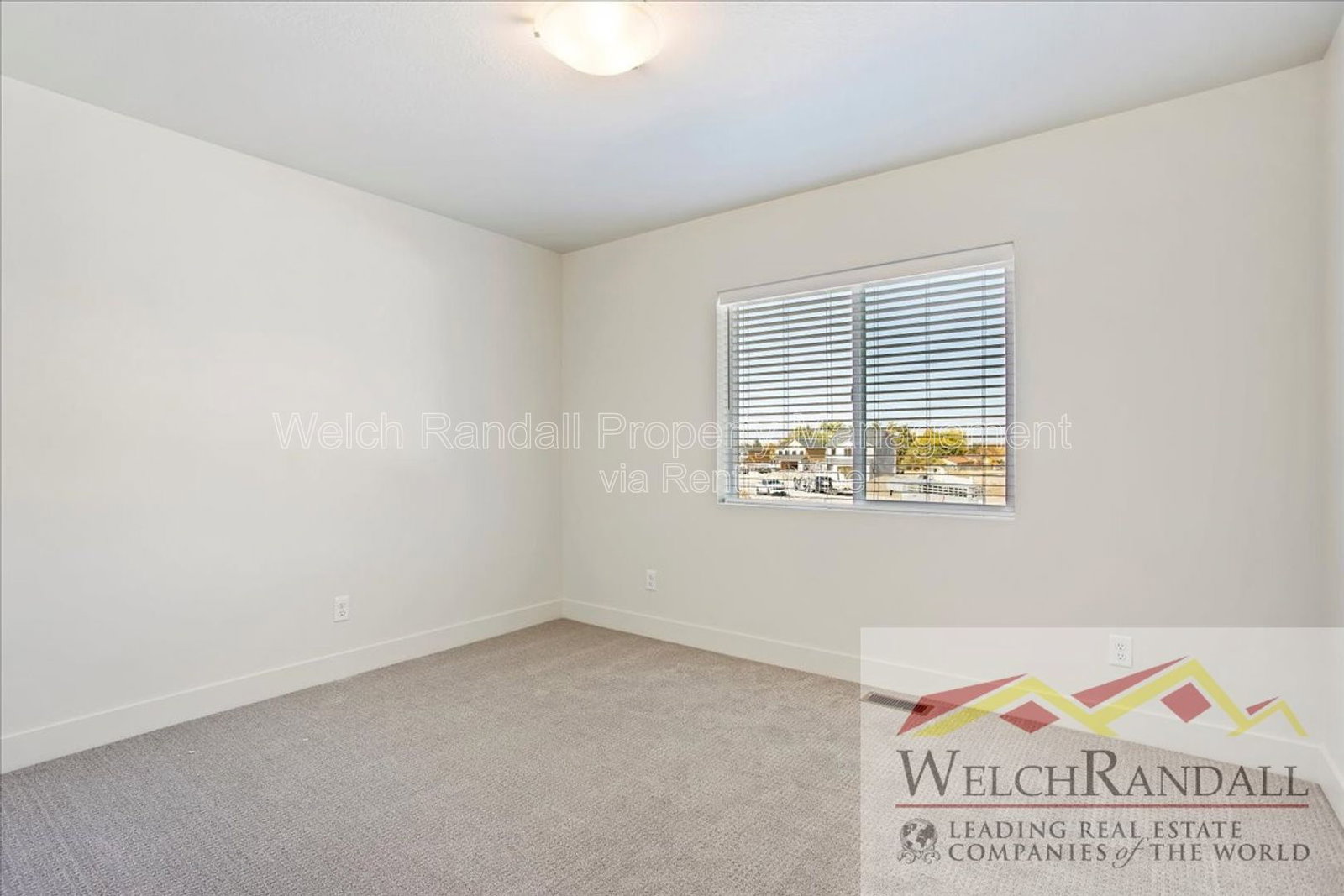 Gallery Image 18