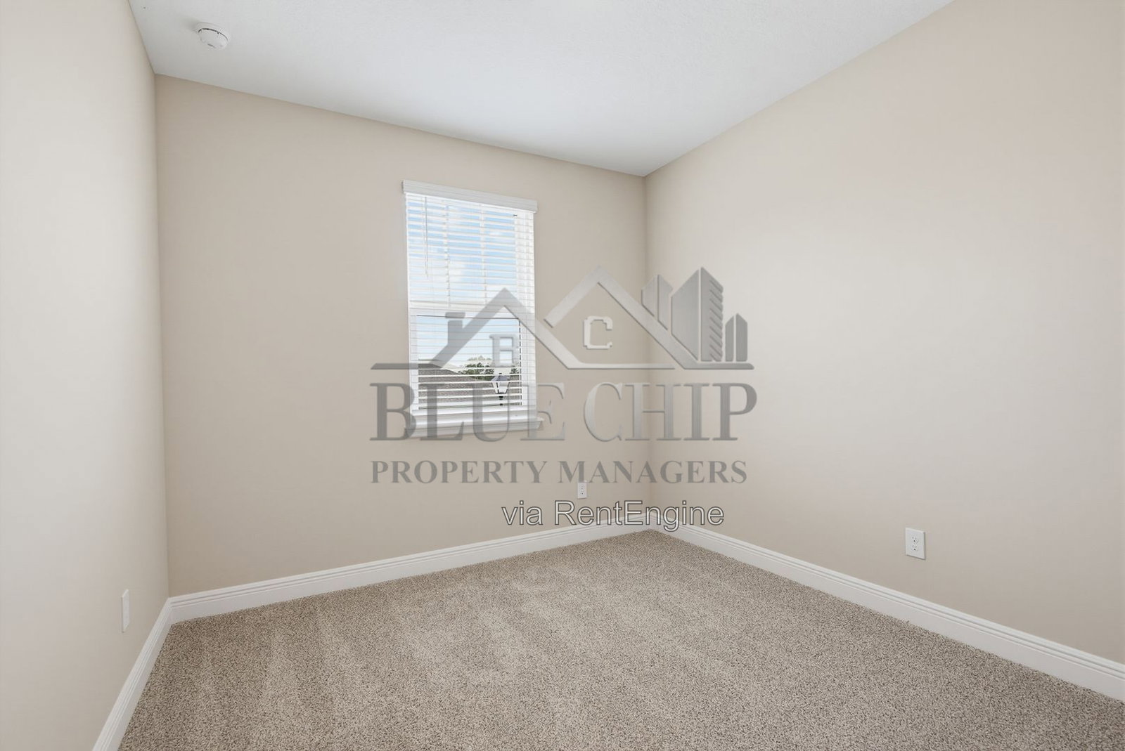 Gallery Image 55