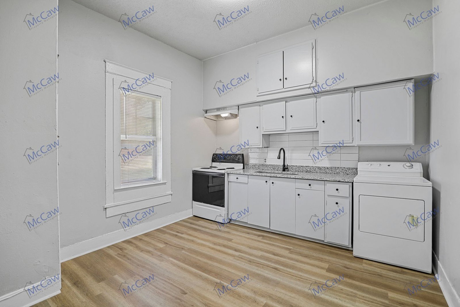 Gallery Image 19