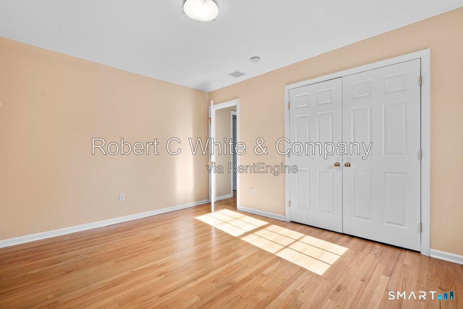 Gallery Image 19