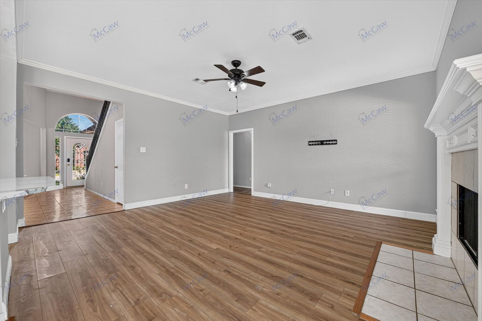 Gallery Image 8