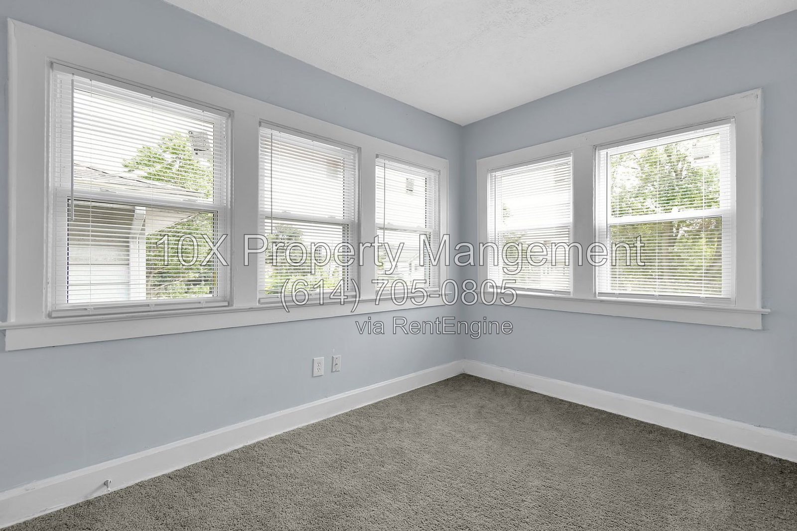 Gallery Image 12