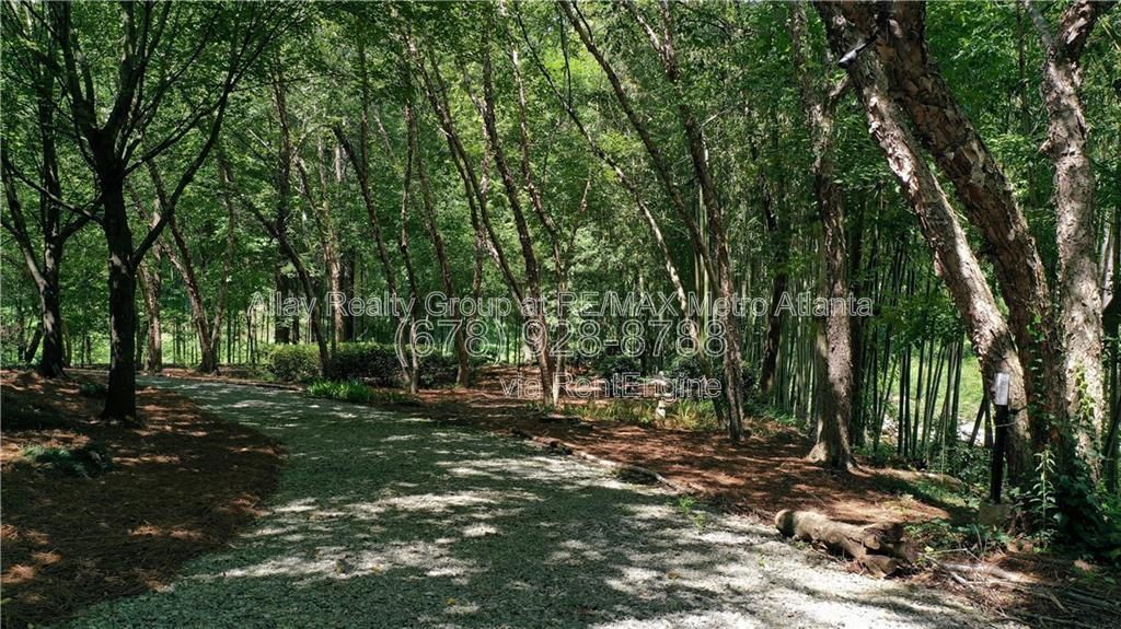 Gallery Image 34