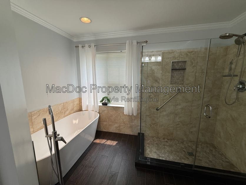 Gallery Image 51