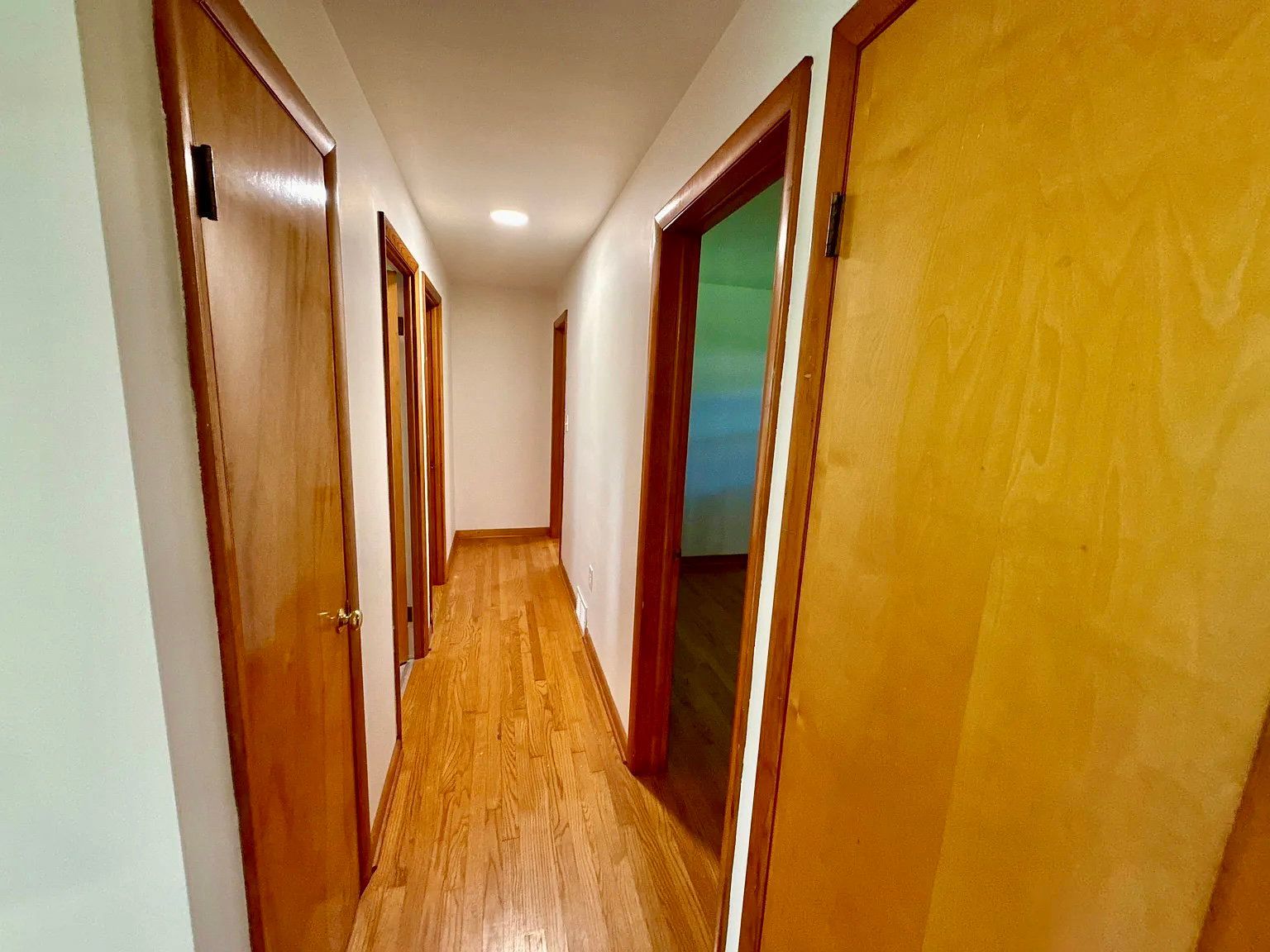 Gallery Image 8
