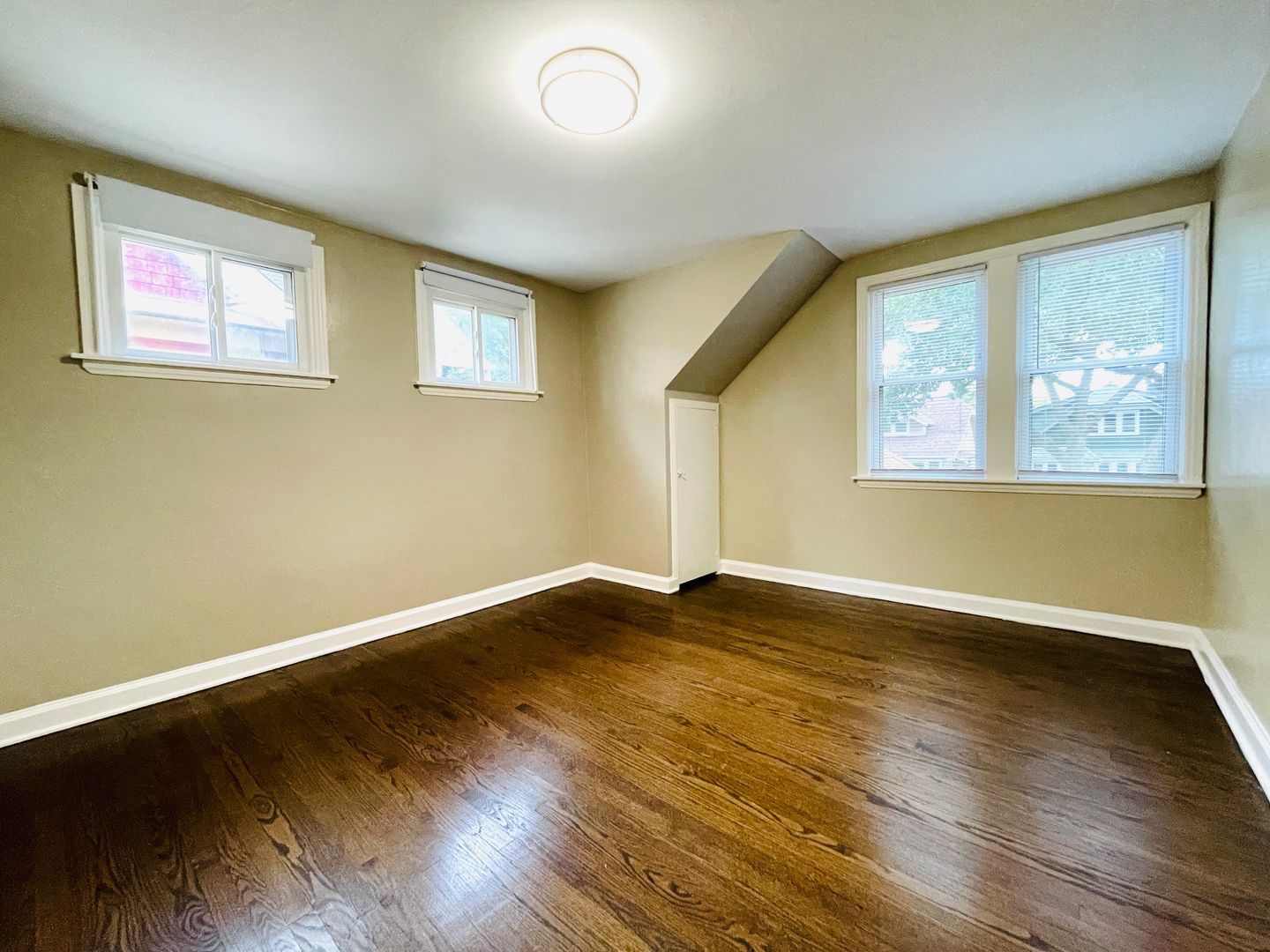 Gallery Image 19