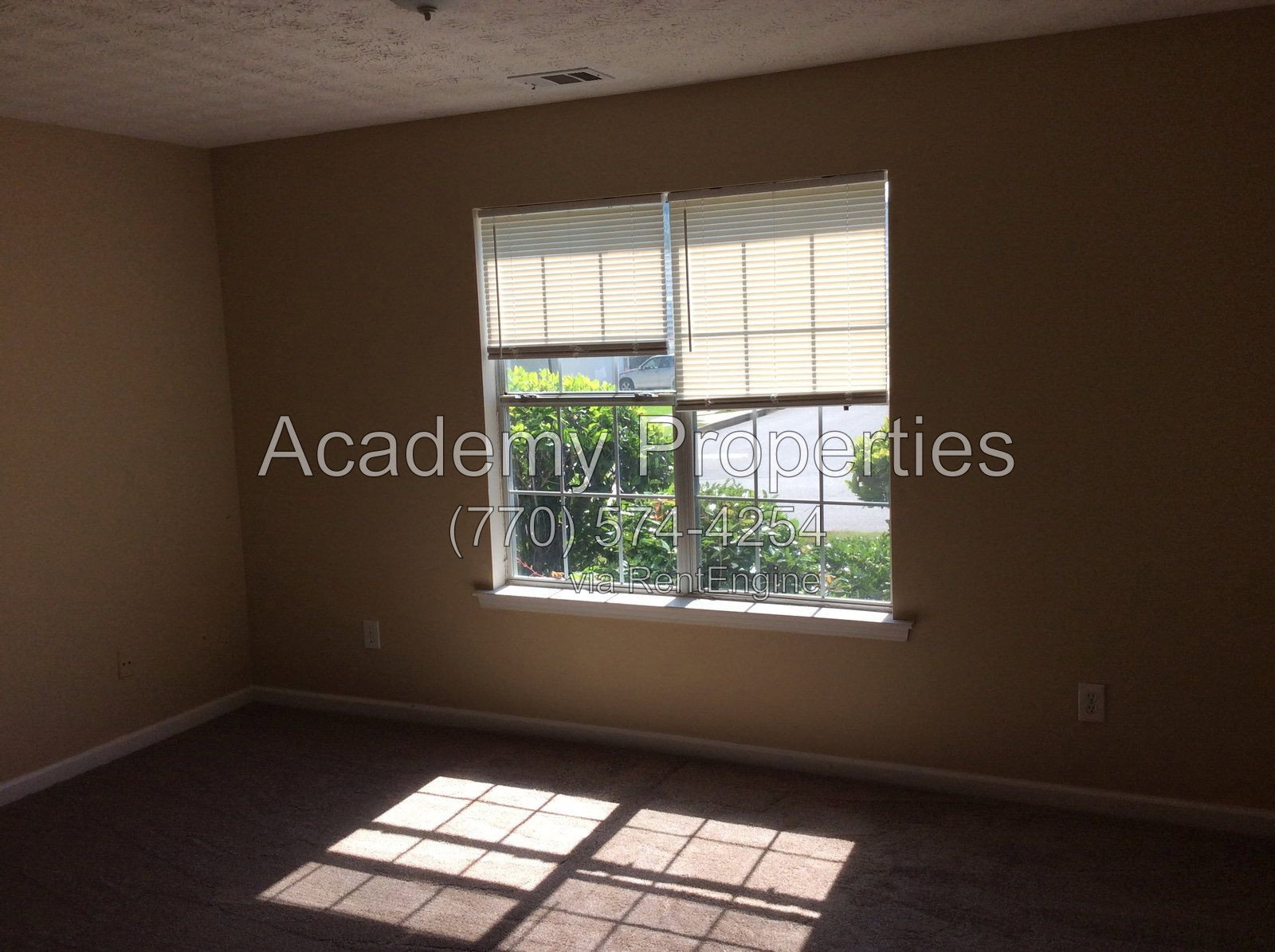 Gallery Image 20