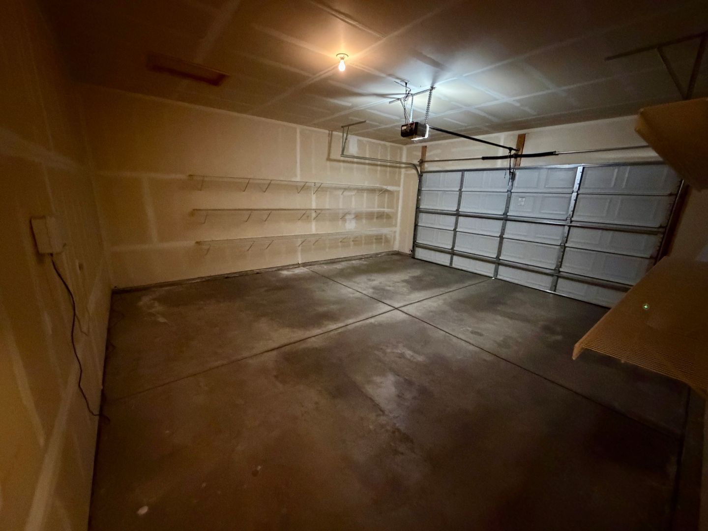 Gallery Image 19