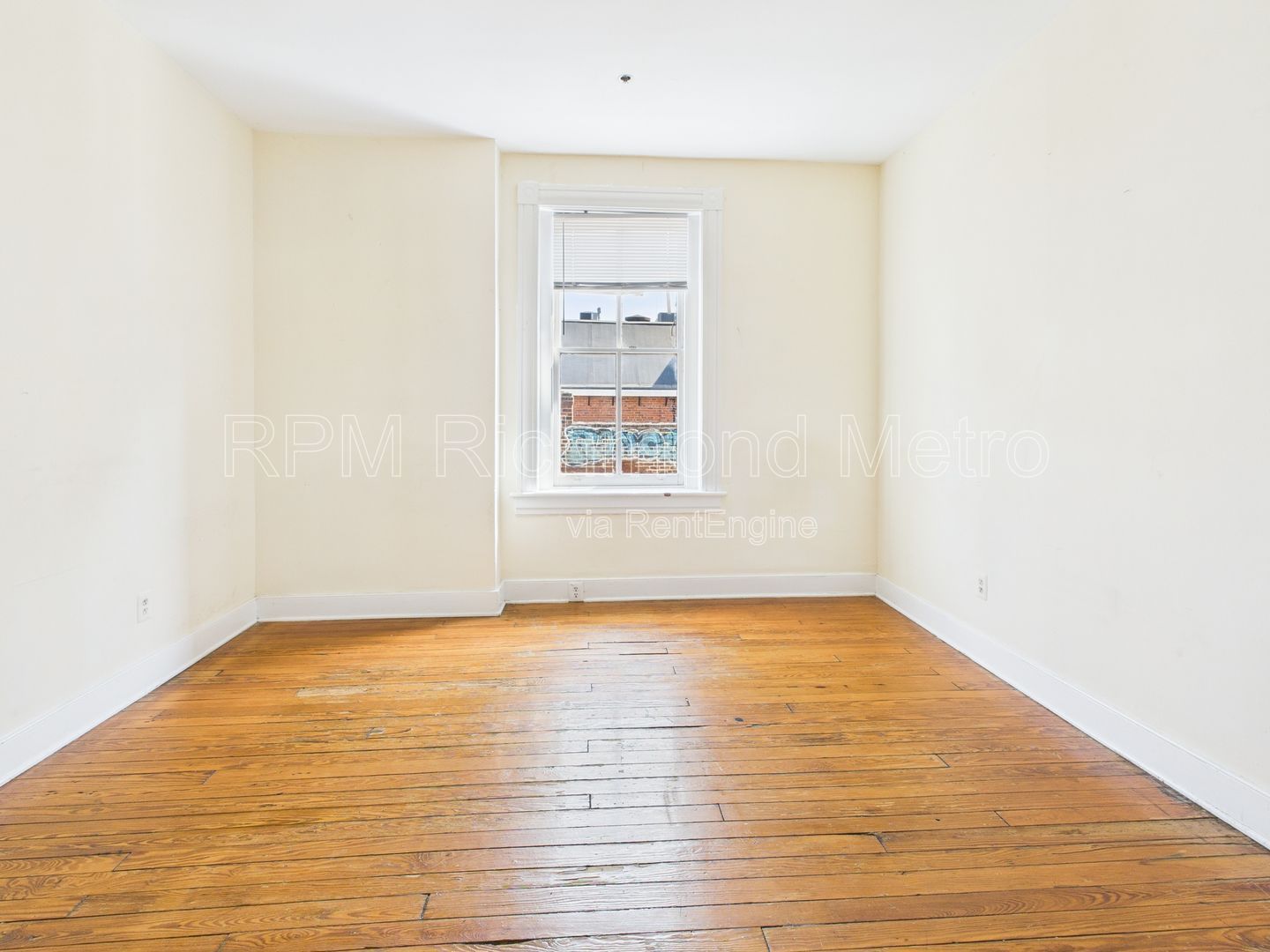 Gallery Image 31