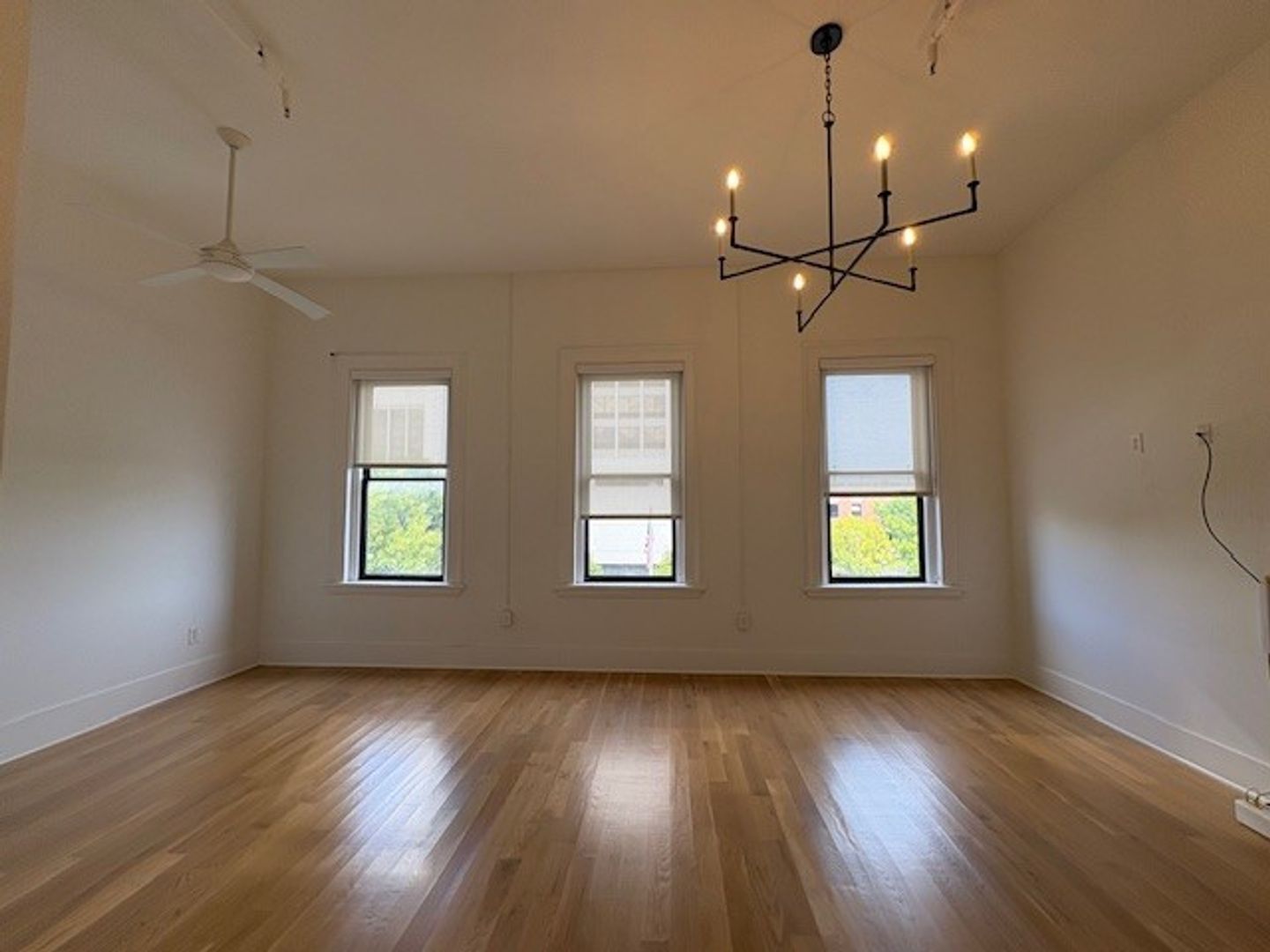 Gallery Image 0