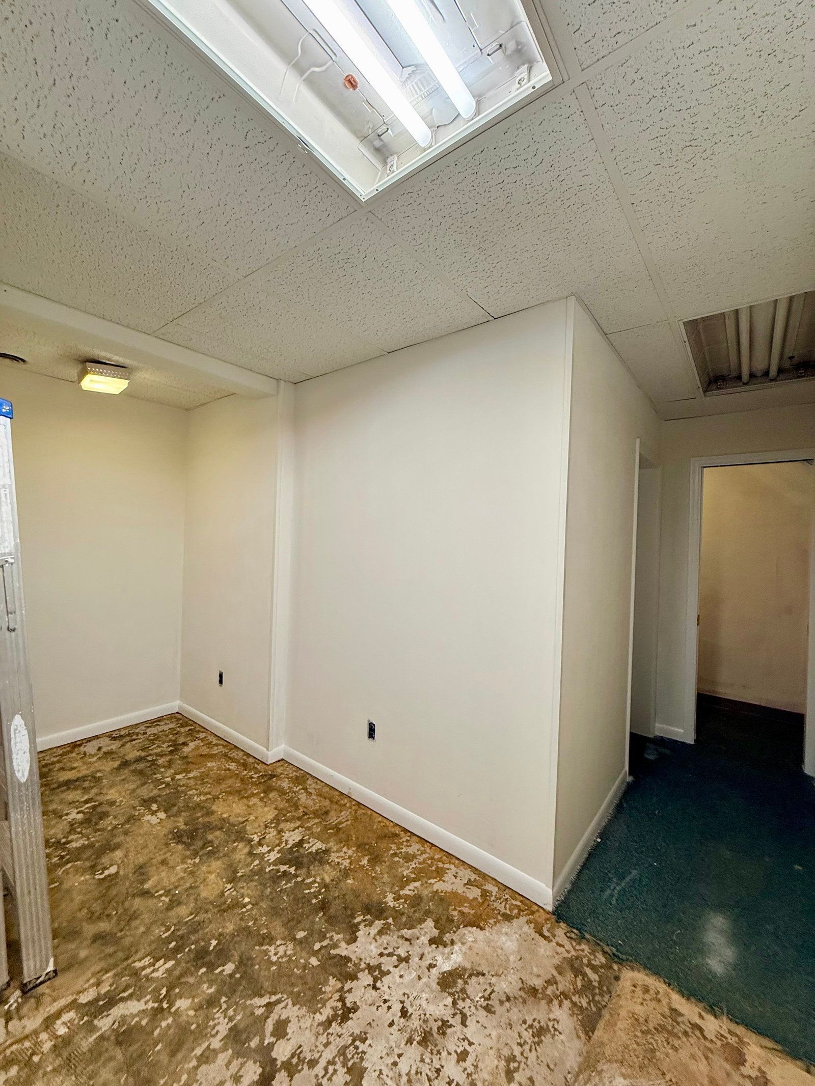 Gallery Image 13