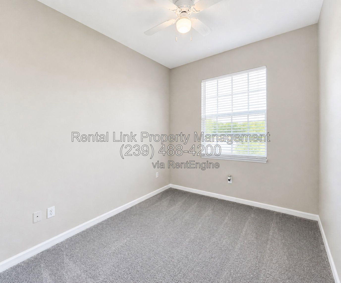 Gallery Image 19
