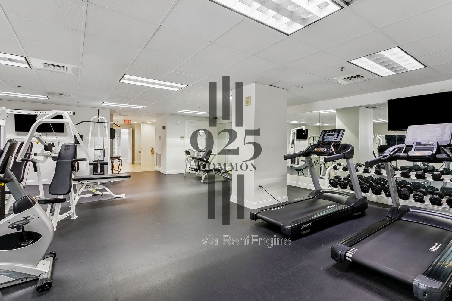Gallery Image 13