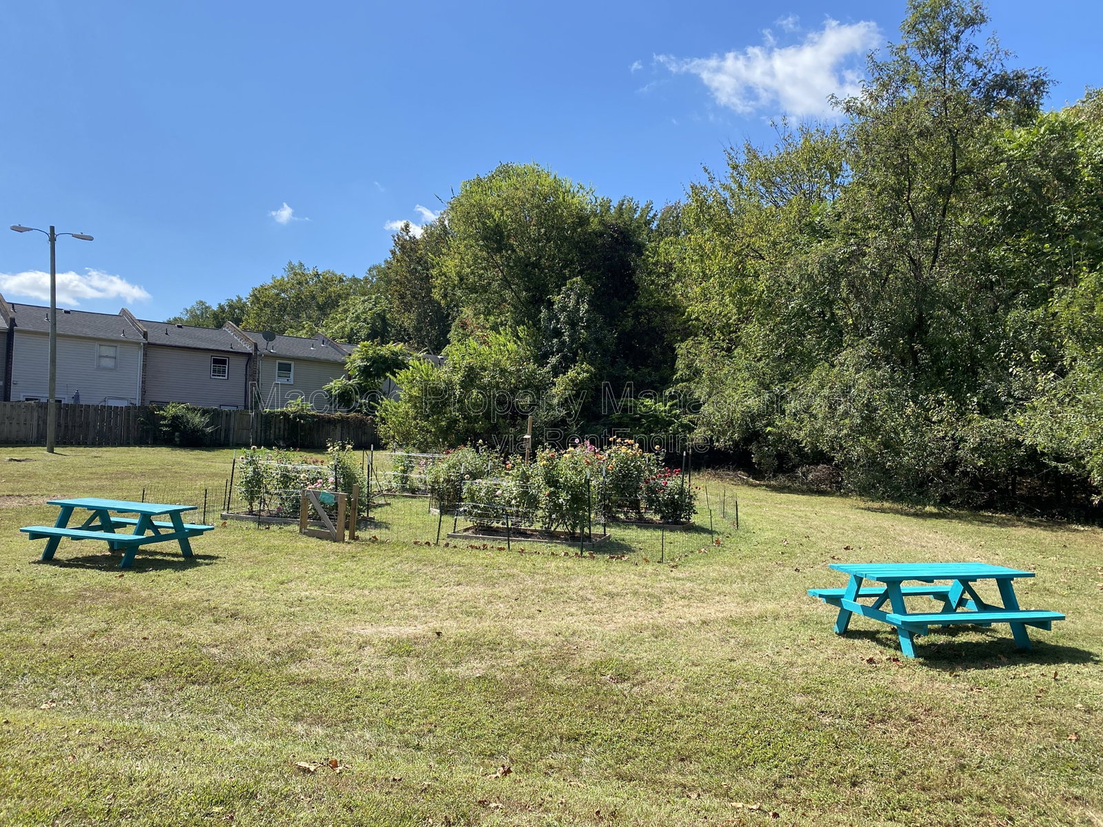 Gallery Image 18