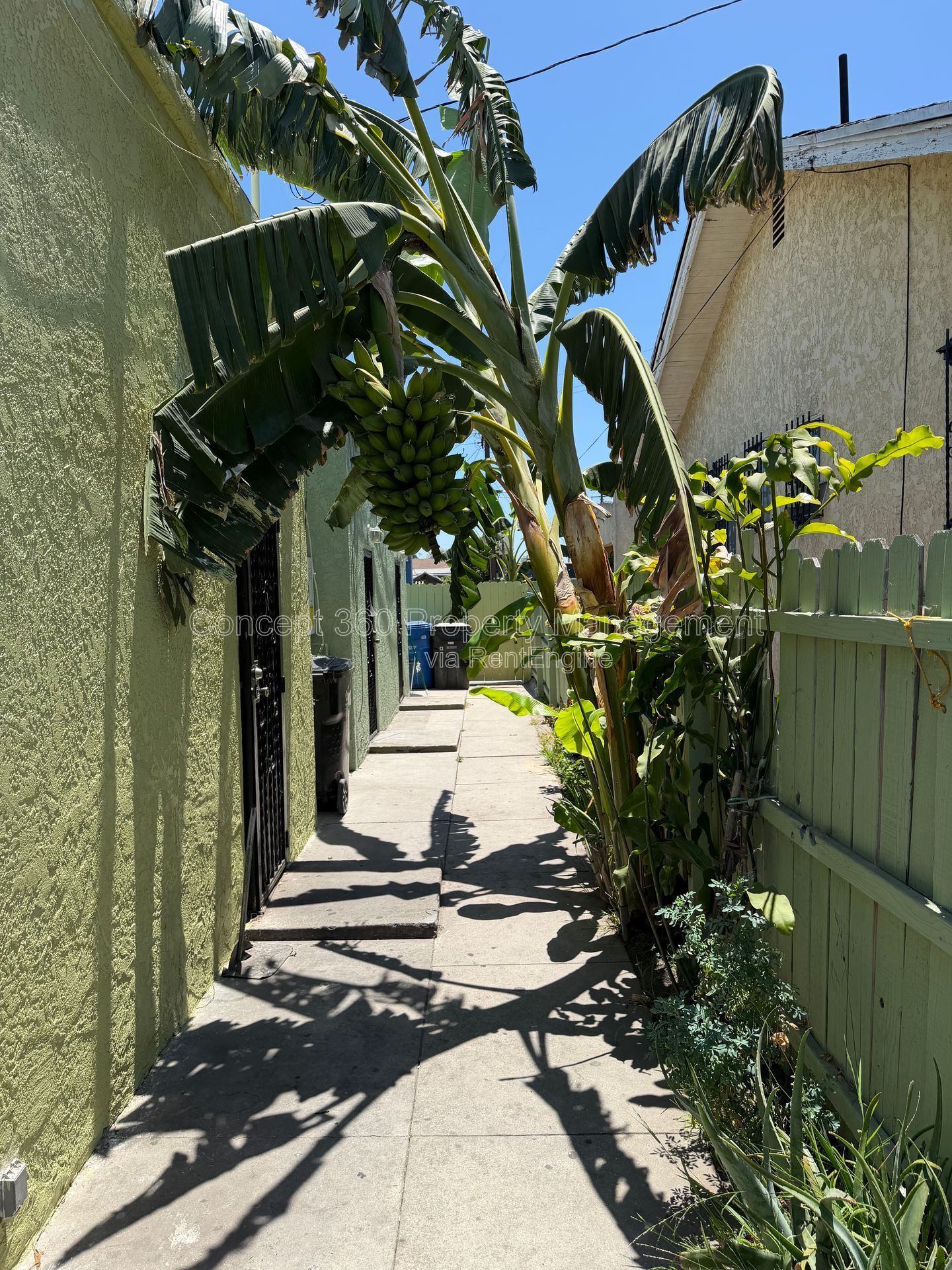 Gallery Image 38