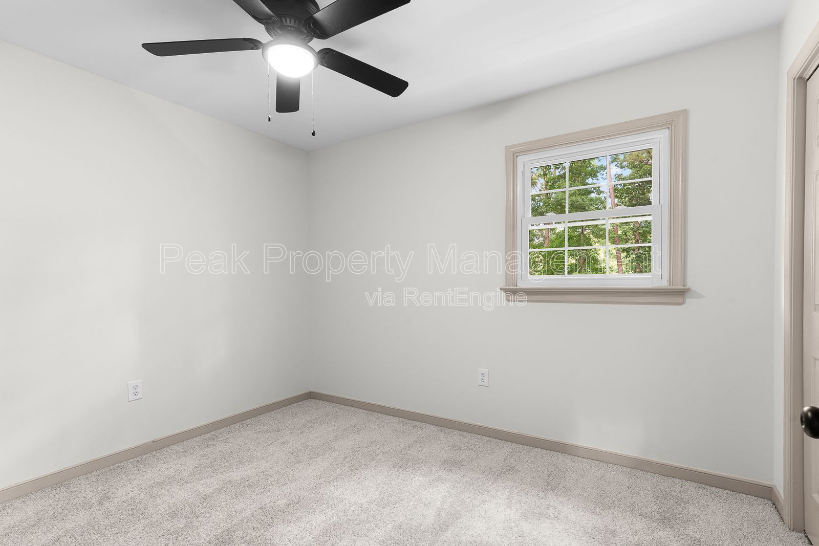 Gallery Image 19