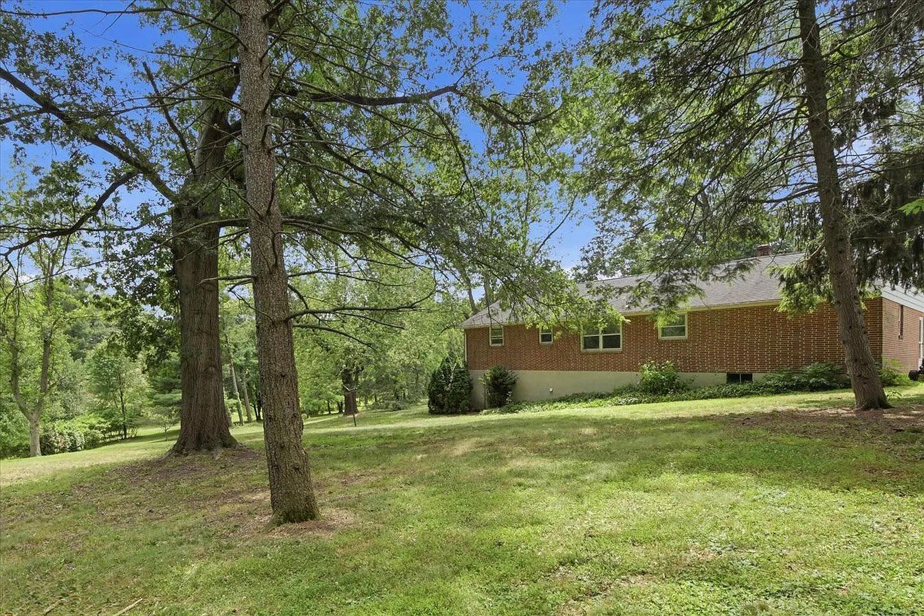 Gallery Image 19