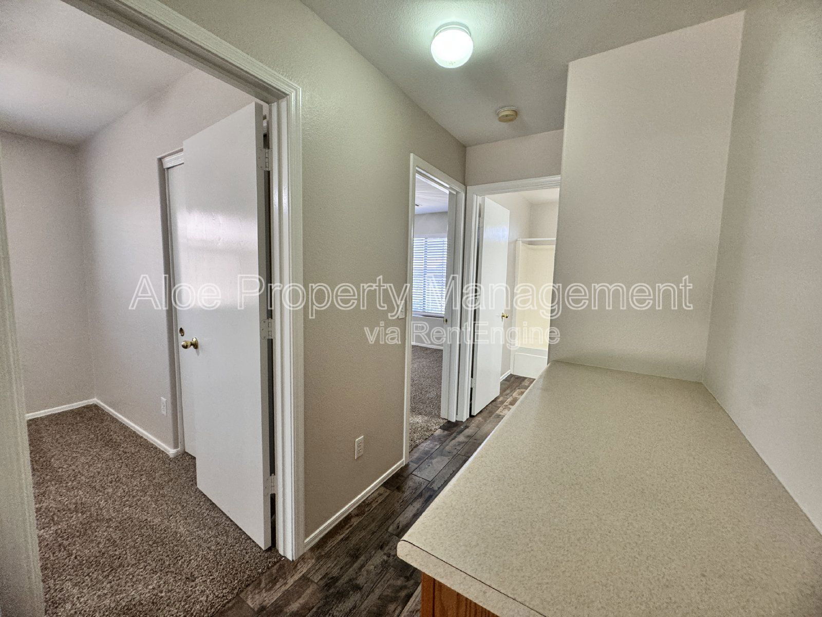 Gallery Image 22