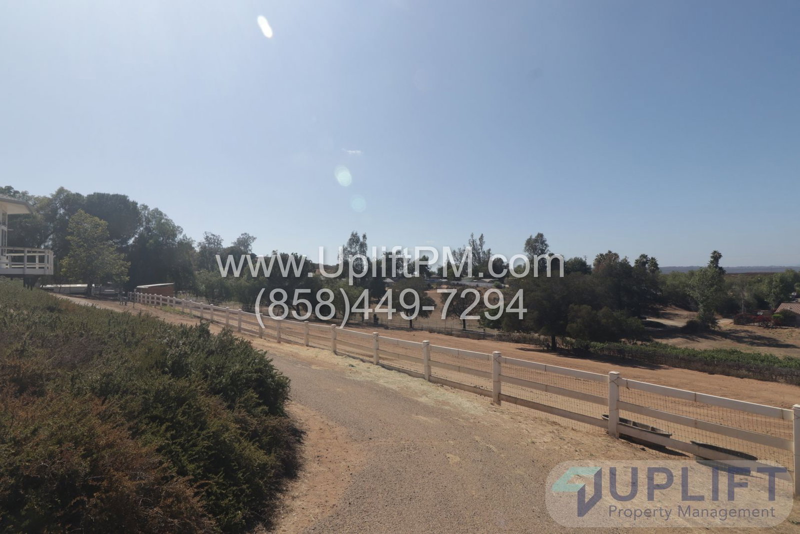 Gallery Image 13