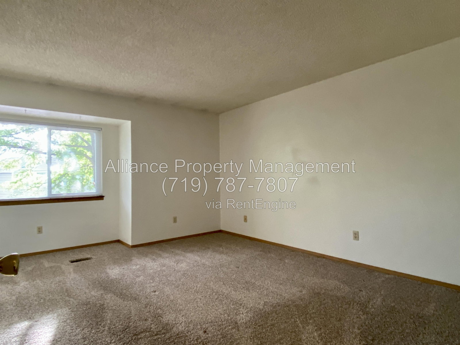 Gallery Image 20
