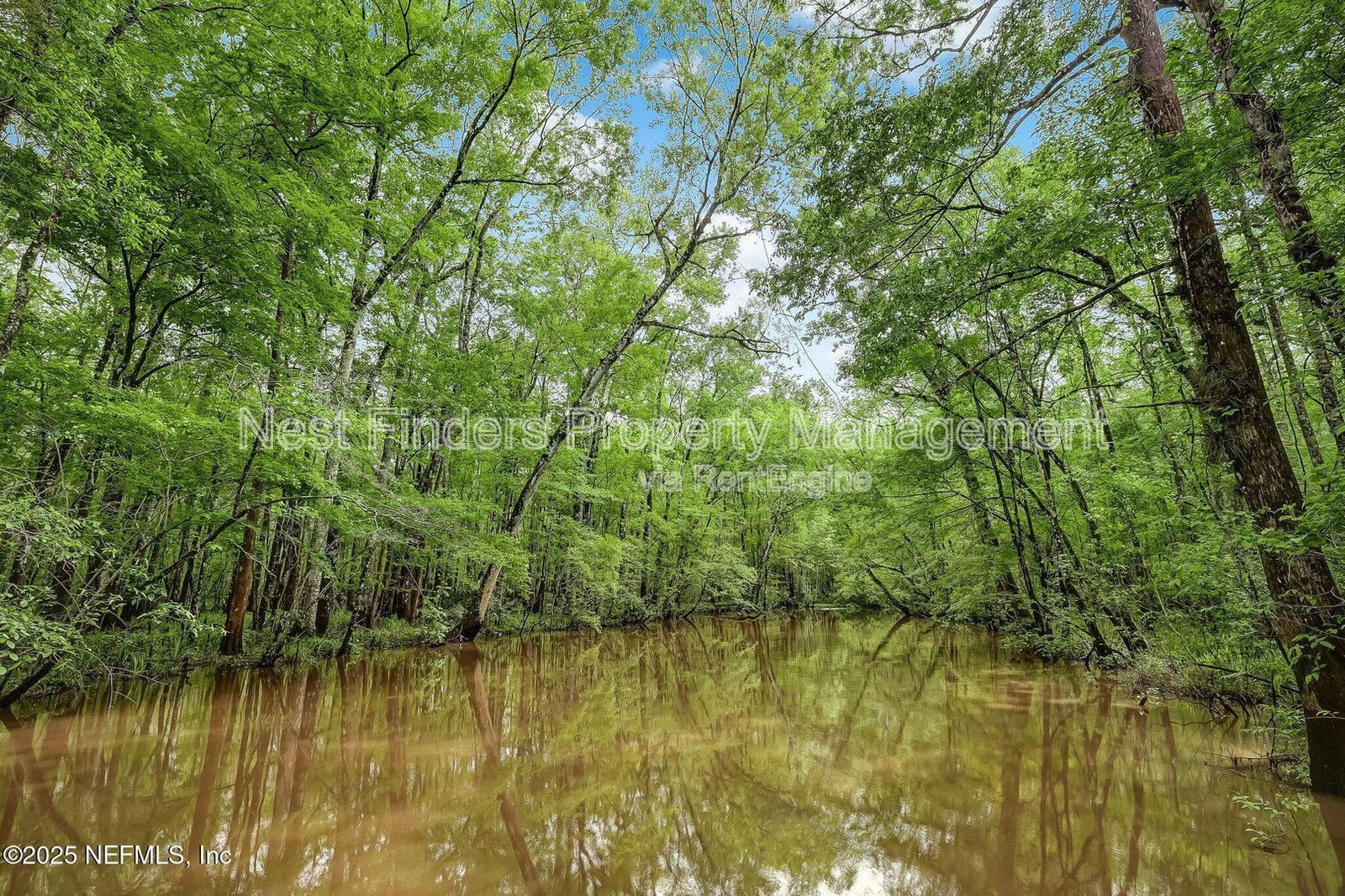 Gallery Image 45