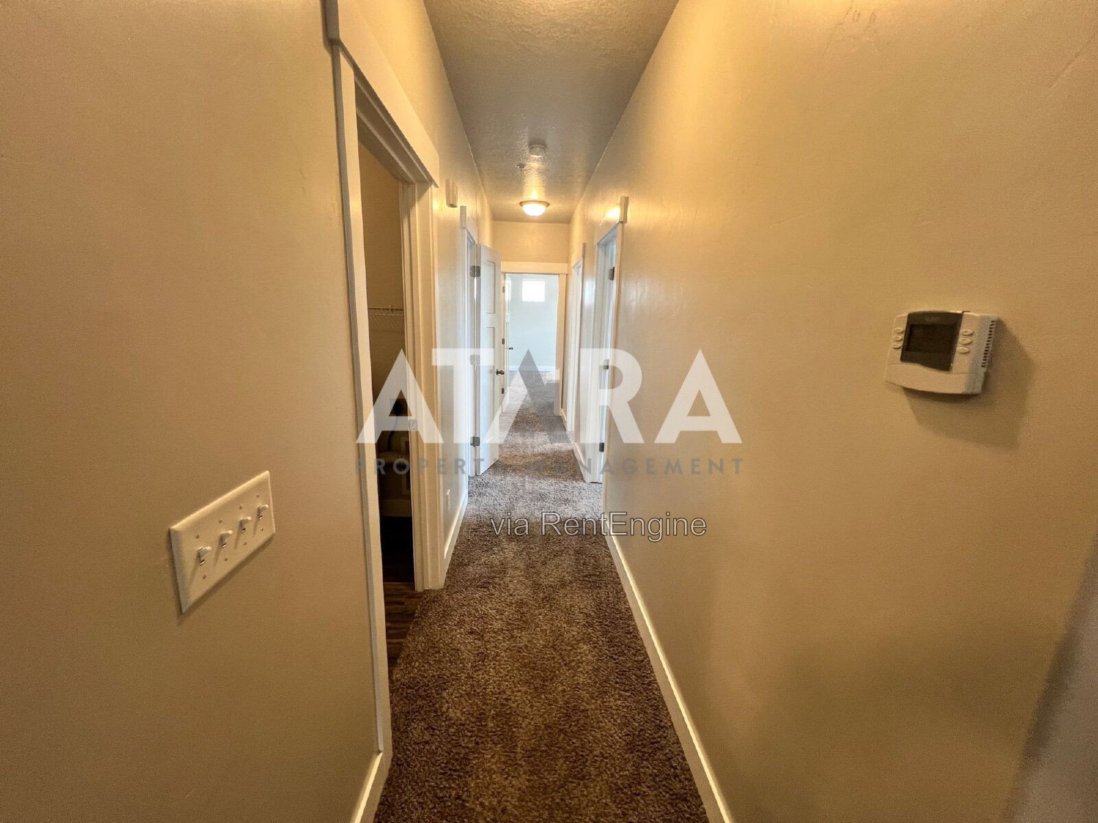 Gallery Image 16