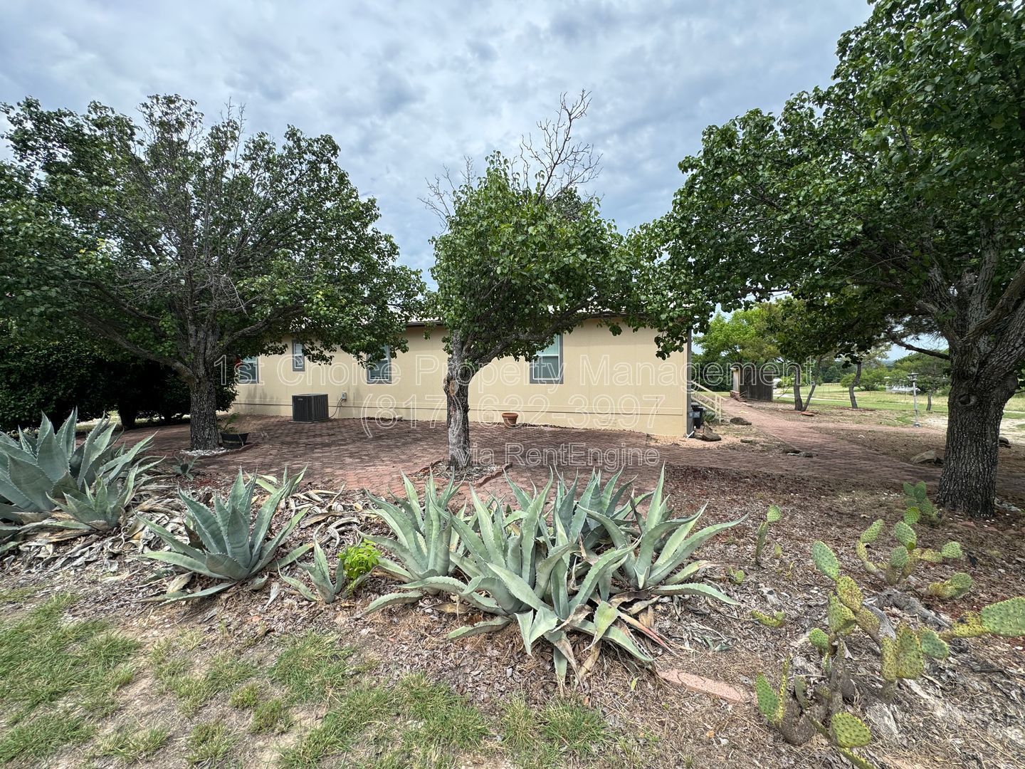 Gallery Image 13