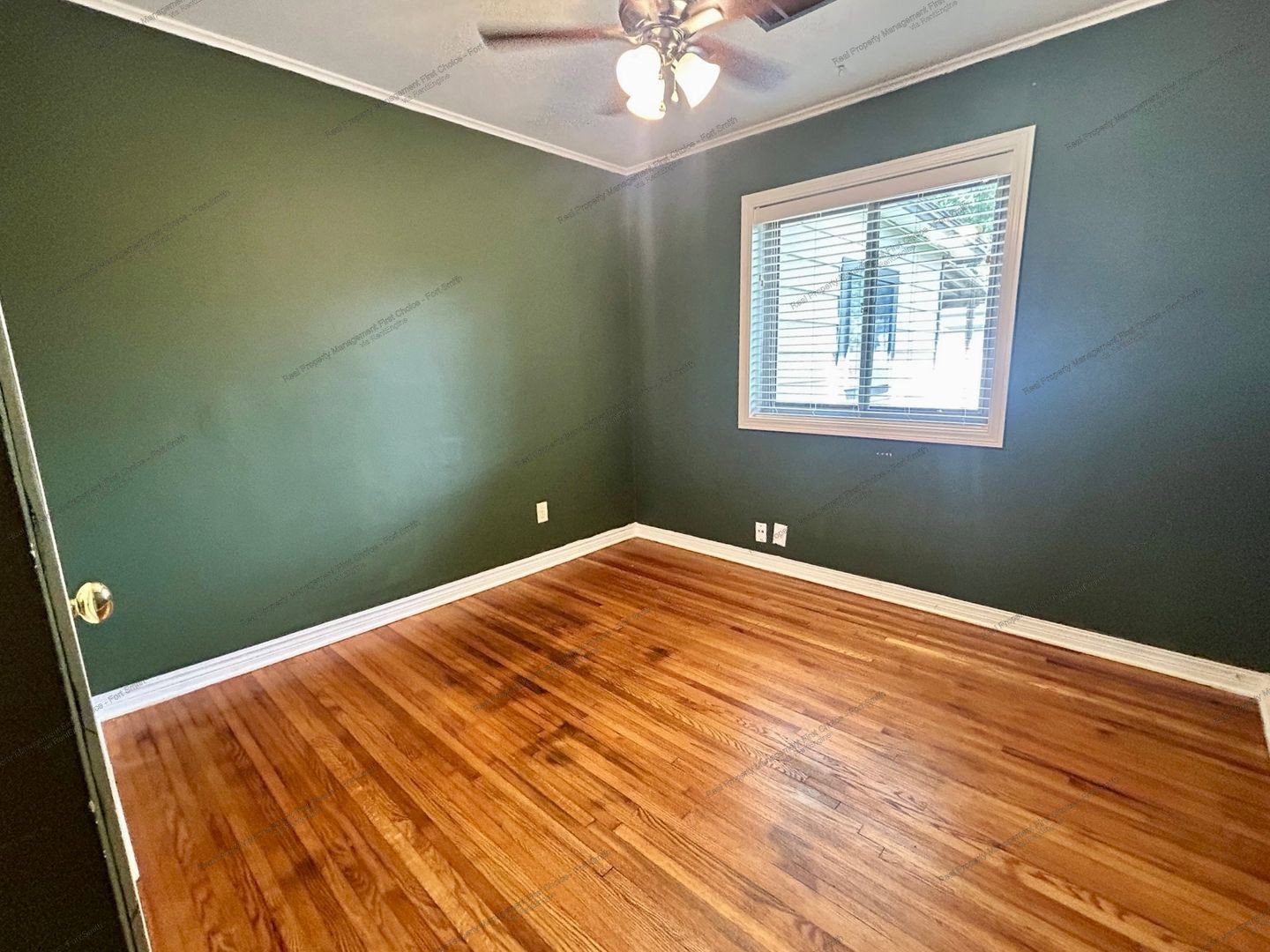 Gallery Image 10