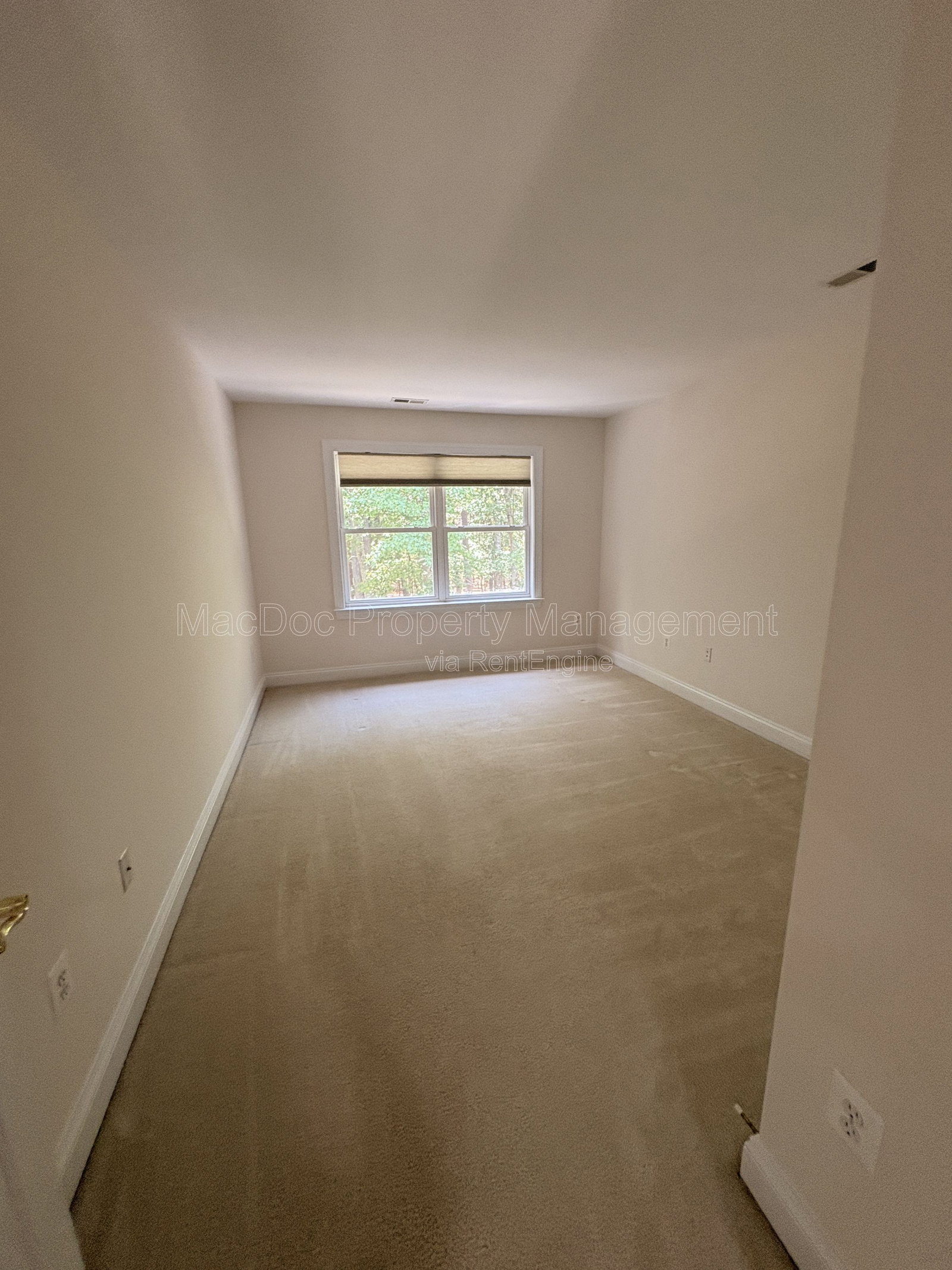 Gallery Image 21