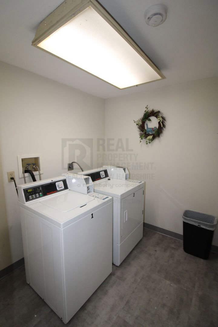 Gallery Image 11