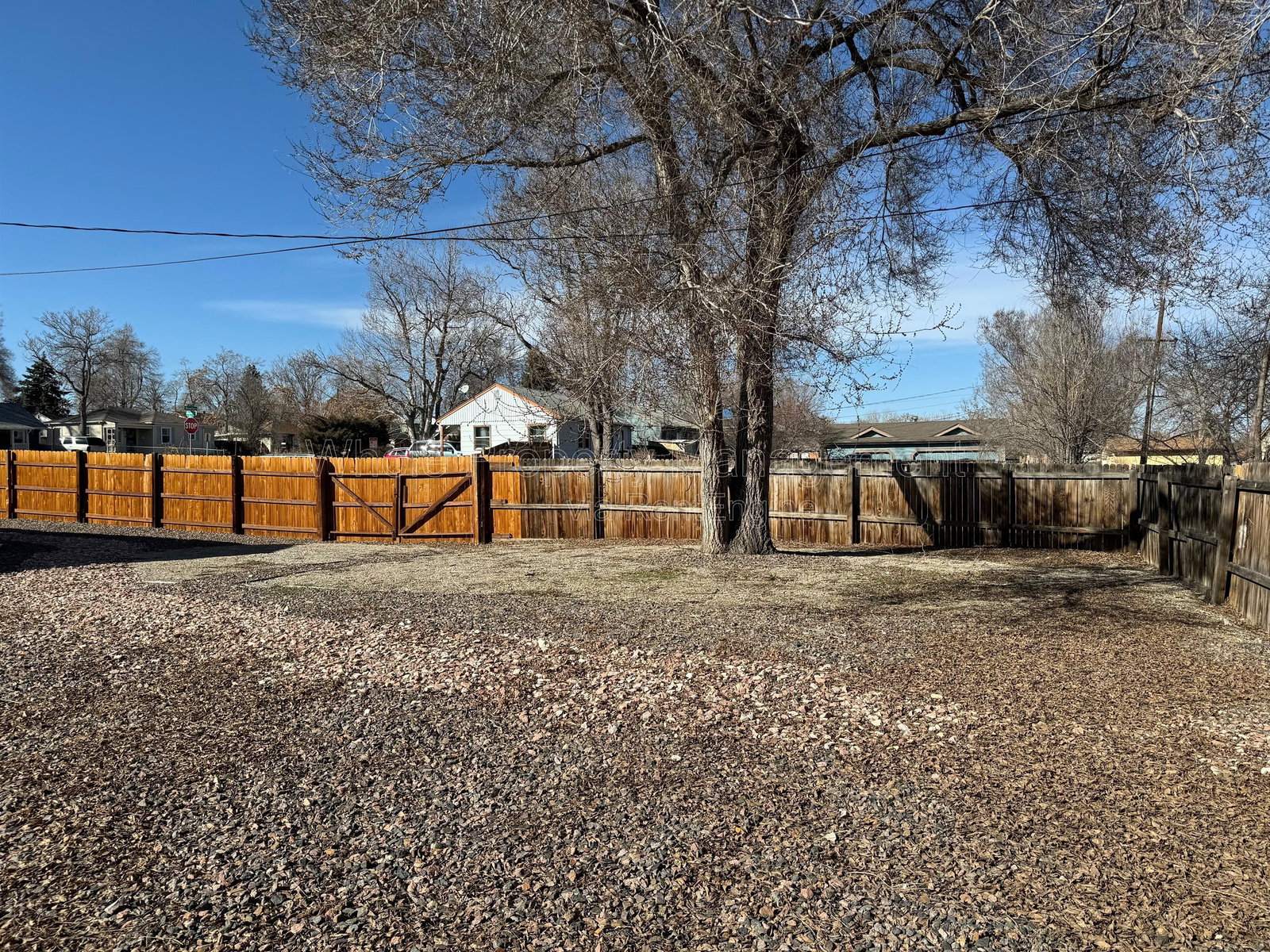 Gallery Image 36