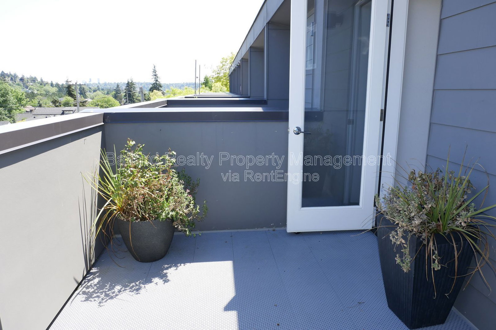 Gallery Image 19
